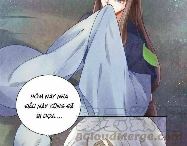 Thịnh Sủng Y Phi Chi Dao Quan Truyện: Chapter 40