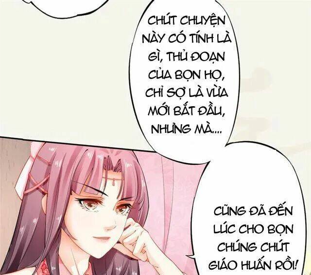 Tuyệt Thế Luyện Đan Sư: Chapter 14