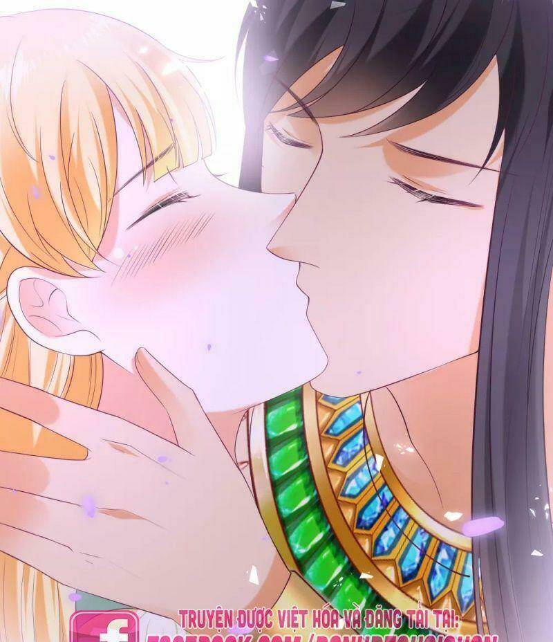 Sủng Hậu Của Vương: Chapter 56