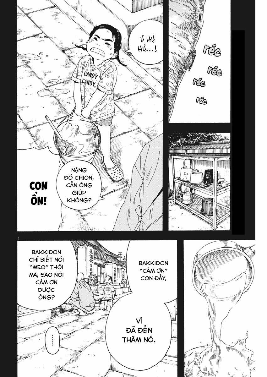 Neko No Otera No Chion-San: Chapter 76