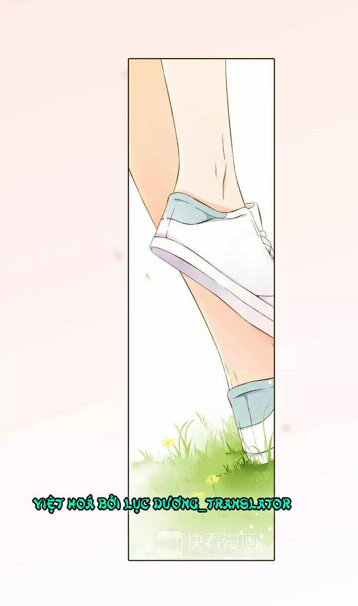 Tình Yêu Là Màu Hoa Anh Thảo: Chapter 28.2