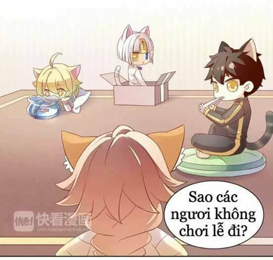 Dưới Móng Vuốt Mèo: Chapter 9
