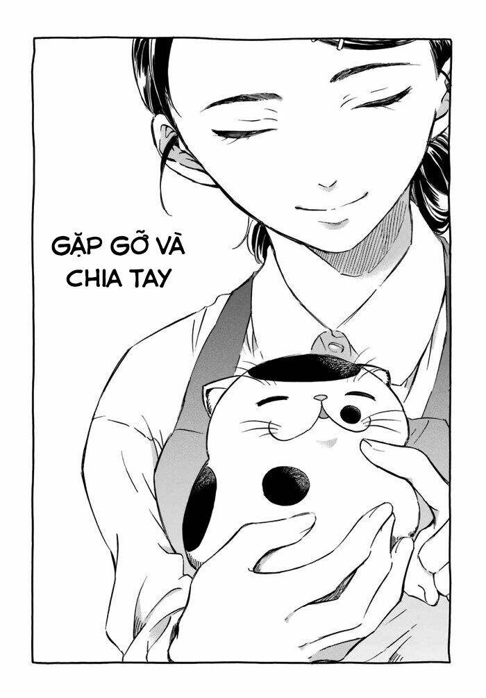 Ông Chú Và Con Mèo Mặt Bựa: Chapter 15.6