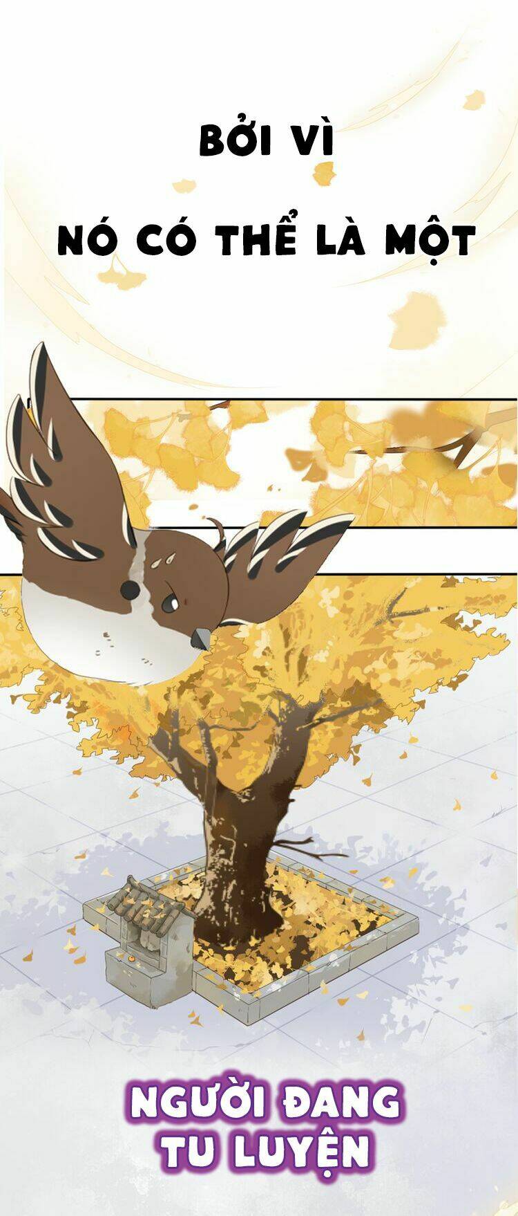 Tước Kiều Tiên: Chapter 0