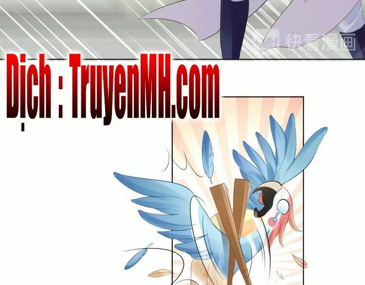 Nhất Sinh Nhất Thế Tiếu Thương Khung: Chapter 6