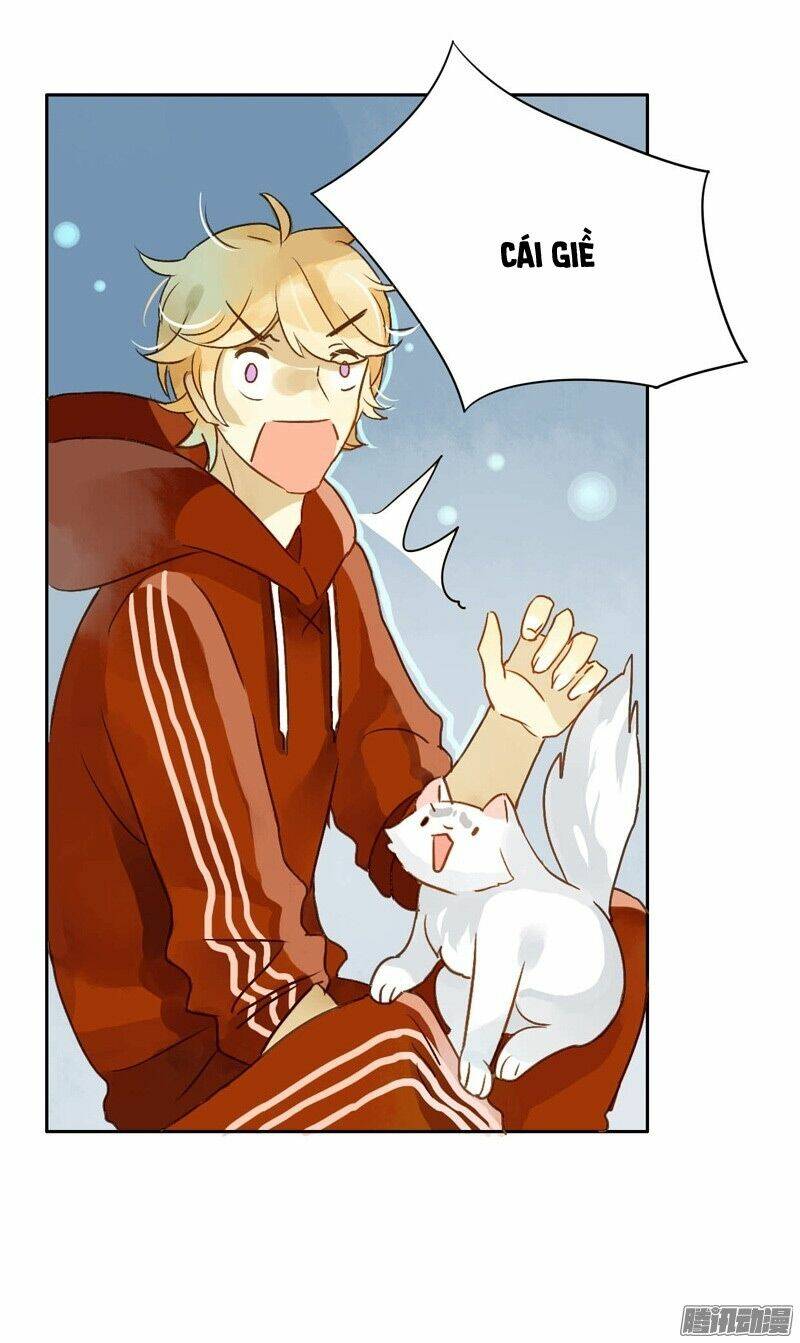 Sức Mạnh Của Sắc Đẹp: Chapter 49