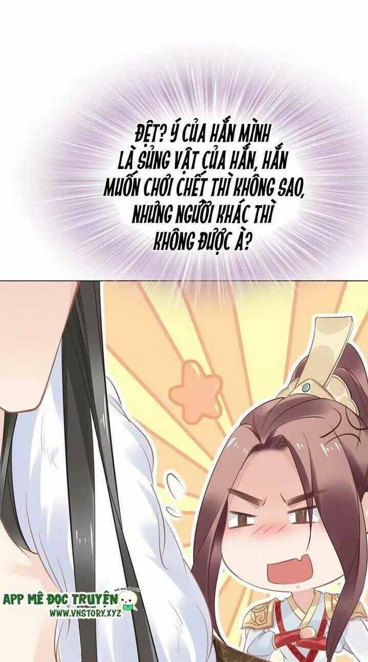 Nhất Sinh Nhất Thế Tiếu Thương Khung: Chapter 16