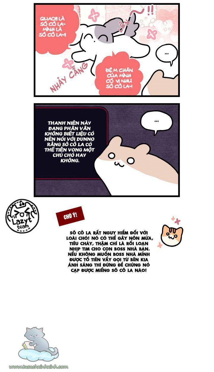 Khi Loài Mèo Làm Bá Chủ Thế Giới: Chapter 8