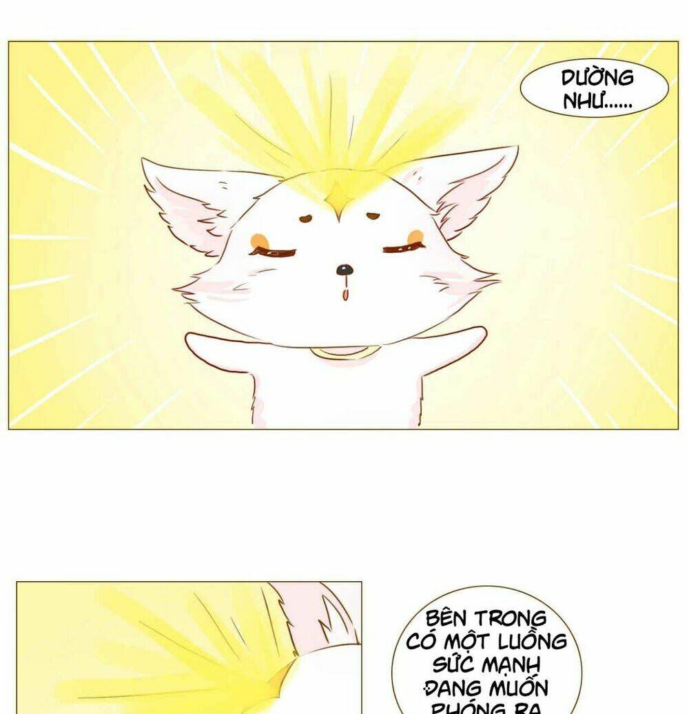 Mẫu Phi Đuôi Của Người Lộ Ra Rồi Kìa: Chapter 51