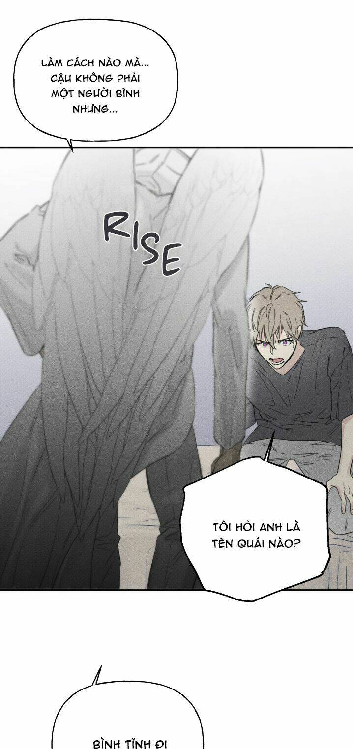 Angel Buddy: Chapter 5