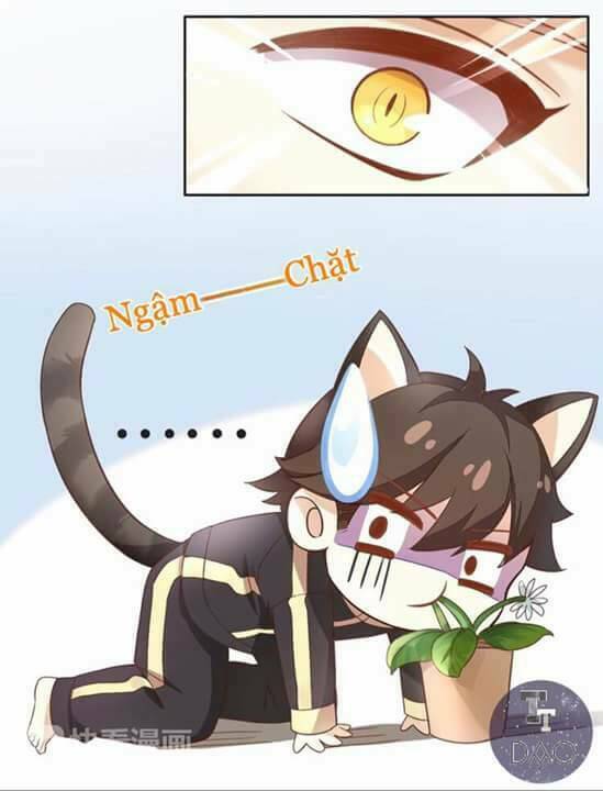 Dưới Móng Vuốt Mèo: Chapter 2