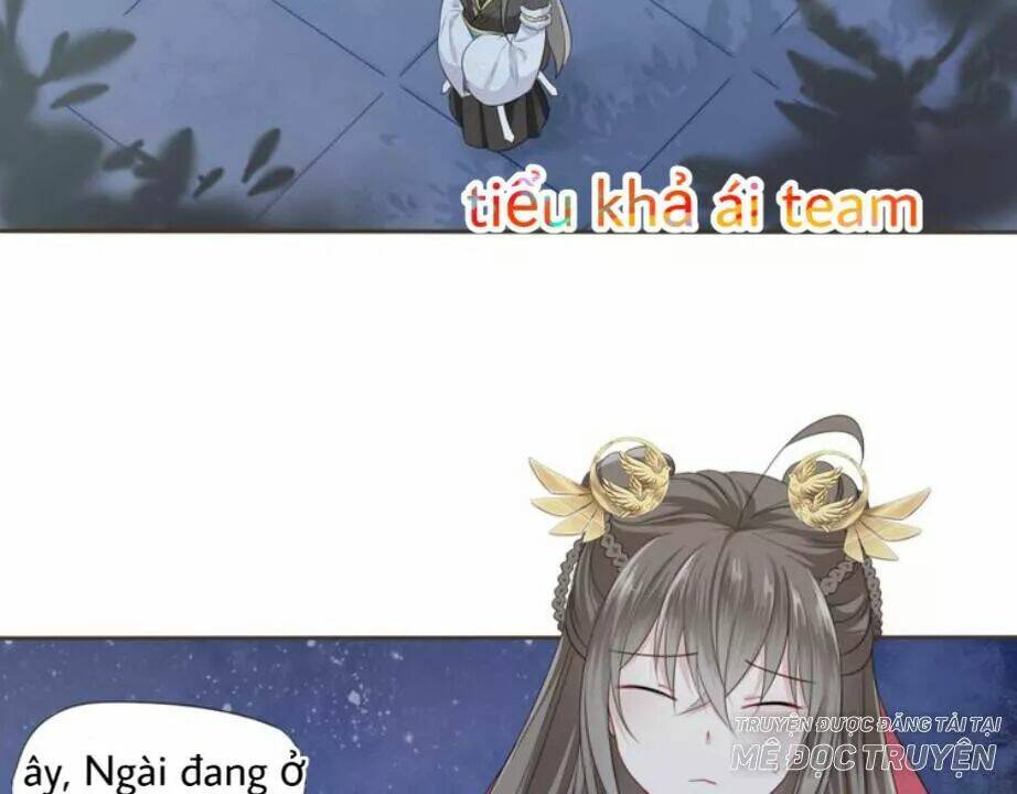 Tước Kiều Tiên: Chapter 3.1