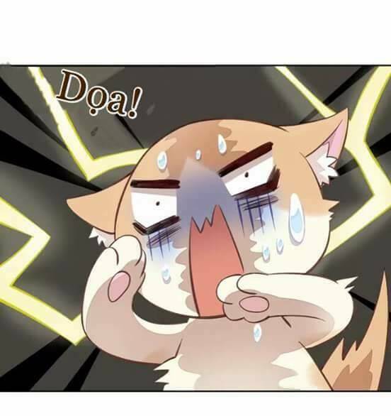 Dưới Móng Vuốt Mèo: Chapter 7
