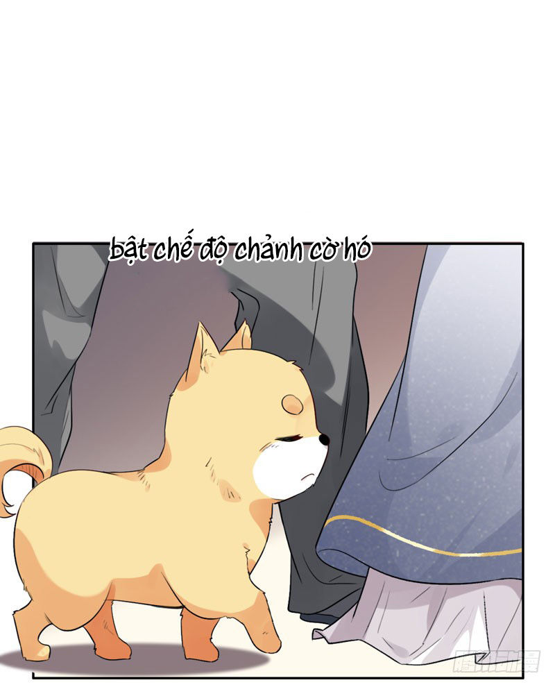 Lụ Đạn, Hôm Nay Lại Cũng Không Thể Biến Thành Người Được: Chapter 3