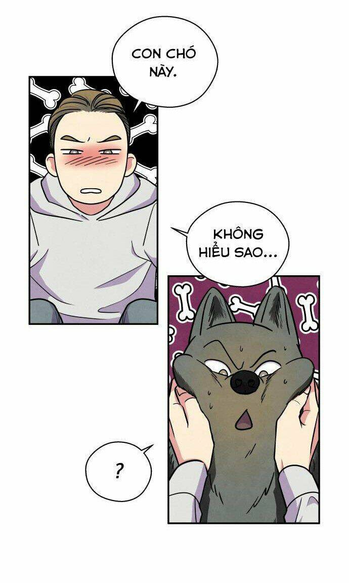 Tai Sói Và Mũ Đỏ: Chapter 38