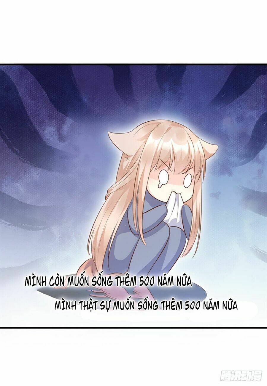 Tư Sủng Cục Cưng Bảo Bối: Chapter 1