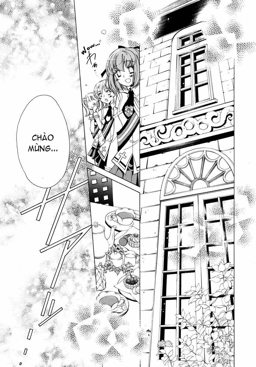 S.L.H (Stray Love Hearts): Chapter 4