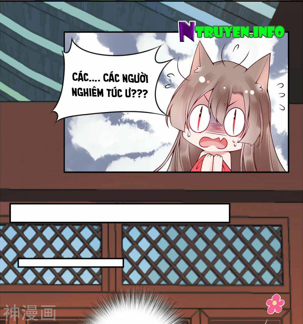 Hoàng Phi 9000 Tuổi: Chapter 67