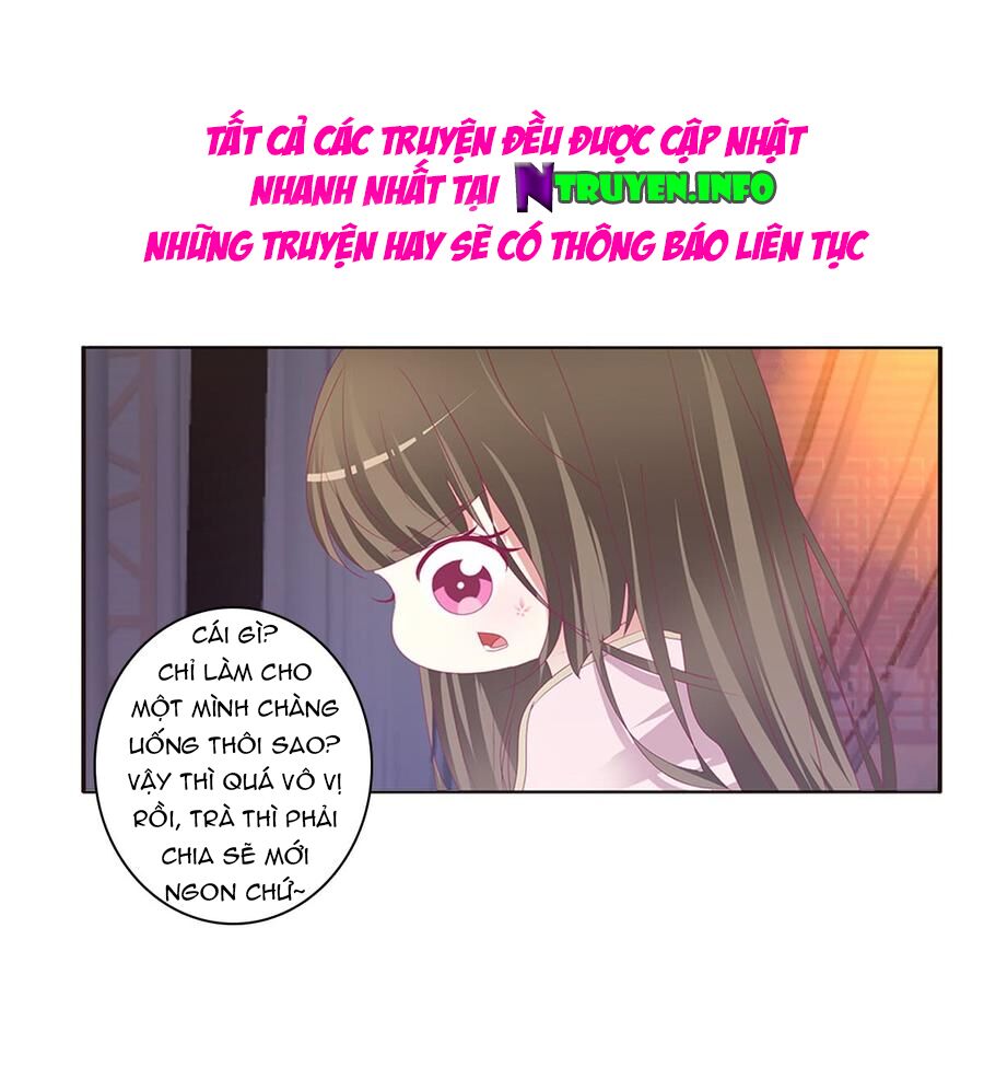 Thông Linh Phi: Chapter 500