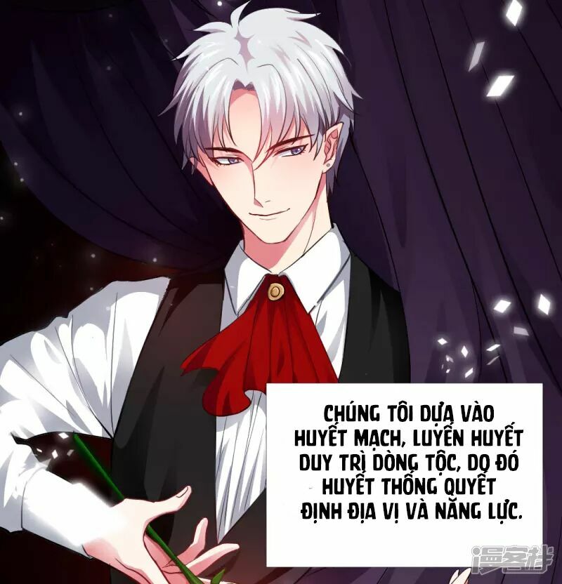 Minh Tinh Là Huyết Tộc: Chapter 13