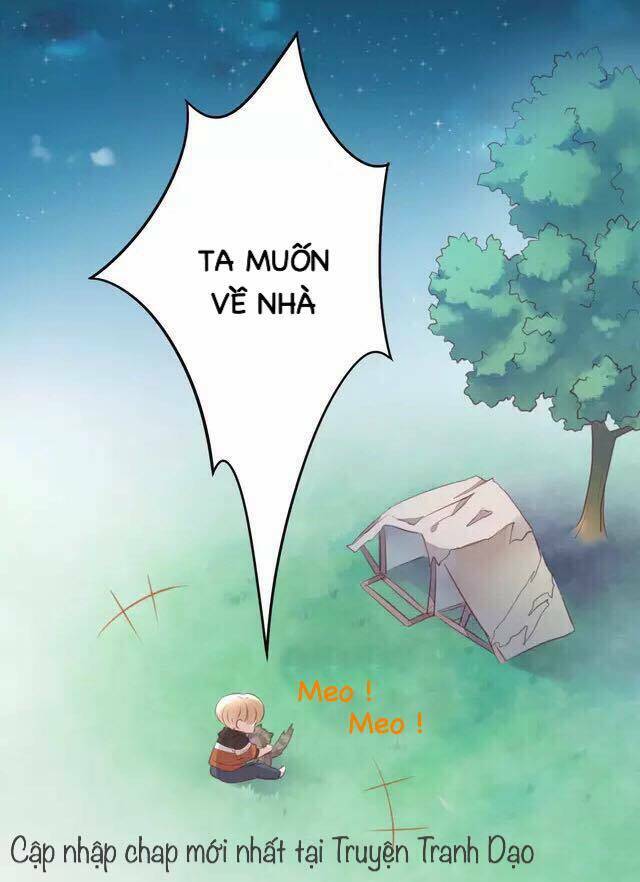 Dưới Móng Vuốt Mèo: Chapter 20