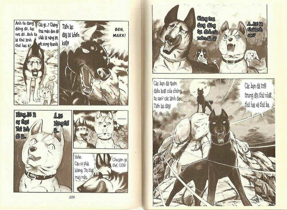 Chú Chó Có Nghĩa - Ginga Nagareboshi Gin: Chapter 11