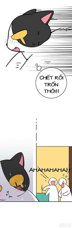 Hello Dư Tuyết Đặc: Chapter 2