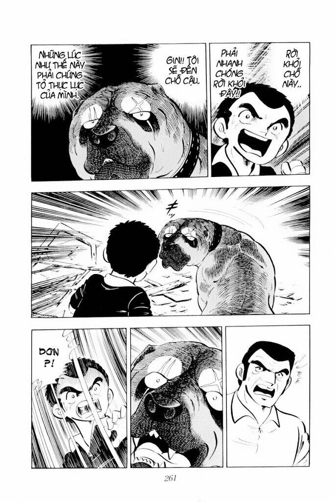 Chú Chó Có Nghĩa - Ginga Nagareboshi Gin: Chapter 30.1