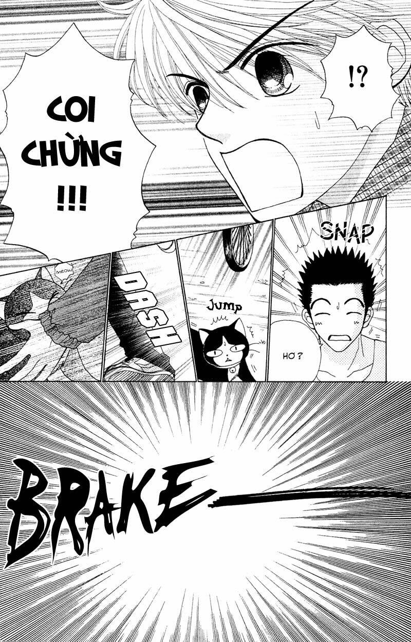 Dự Án Kéo Vàng: Chapter 11