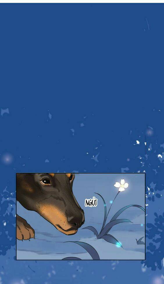 Hầu Nữ Giá Đáo: Chapter 3