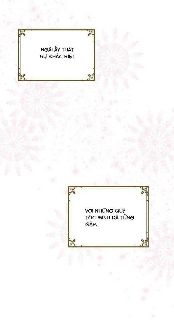 Công Tước, Loạn Vừa Thôi!: Chapter 52