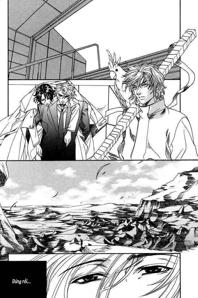 Innocent Bird: Chapter 9