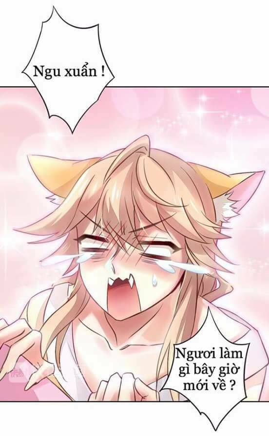 Dưới Móng Vuốt Mèo: Chapter 5