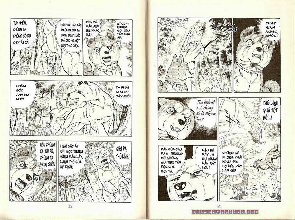 Chú Chó Có Nghĩa - Ginga Nagareboshi Gin: Chapter 19