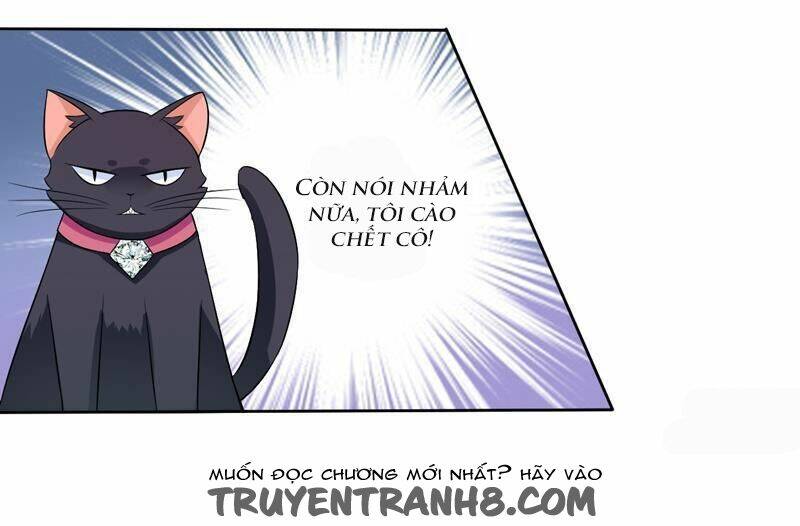 Miêu Vương Tại Thượng: Chapter 2