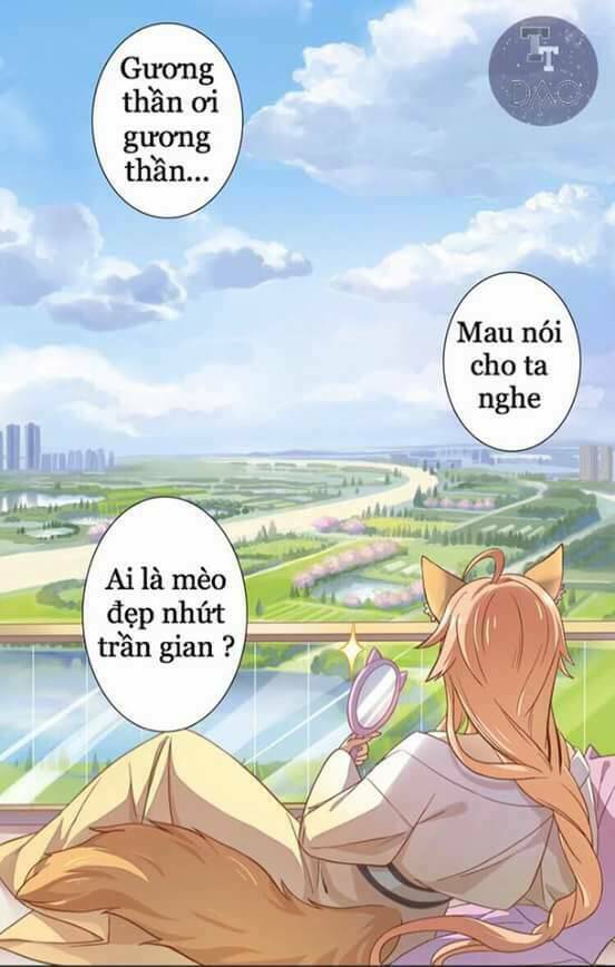 Dưới Móng Vuốt Mèo: Chapter 1