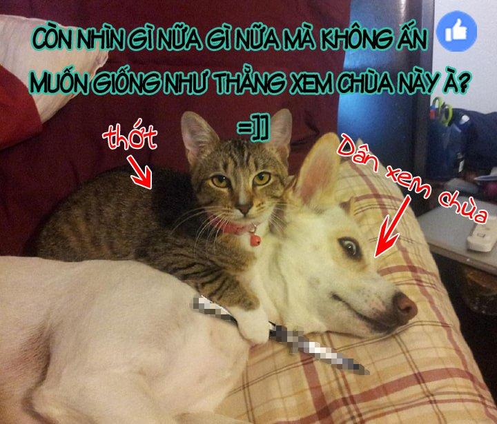 Youkoso Jitsuryoku Shijou Shugi No Kyoushitsu E: Other School Days: Chapter 1