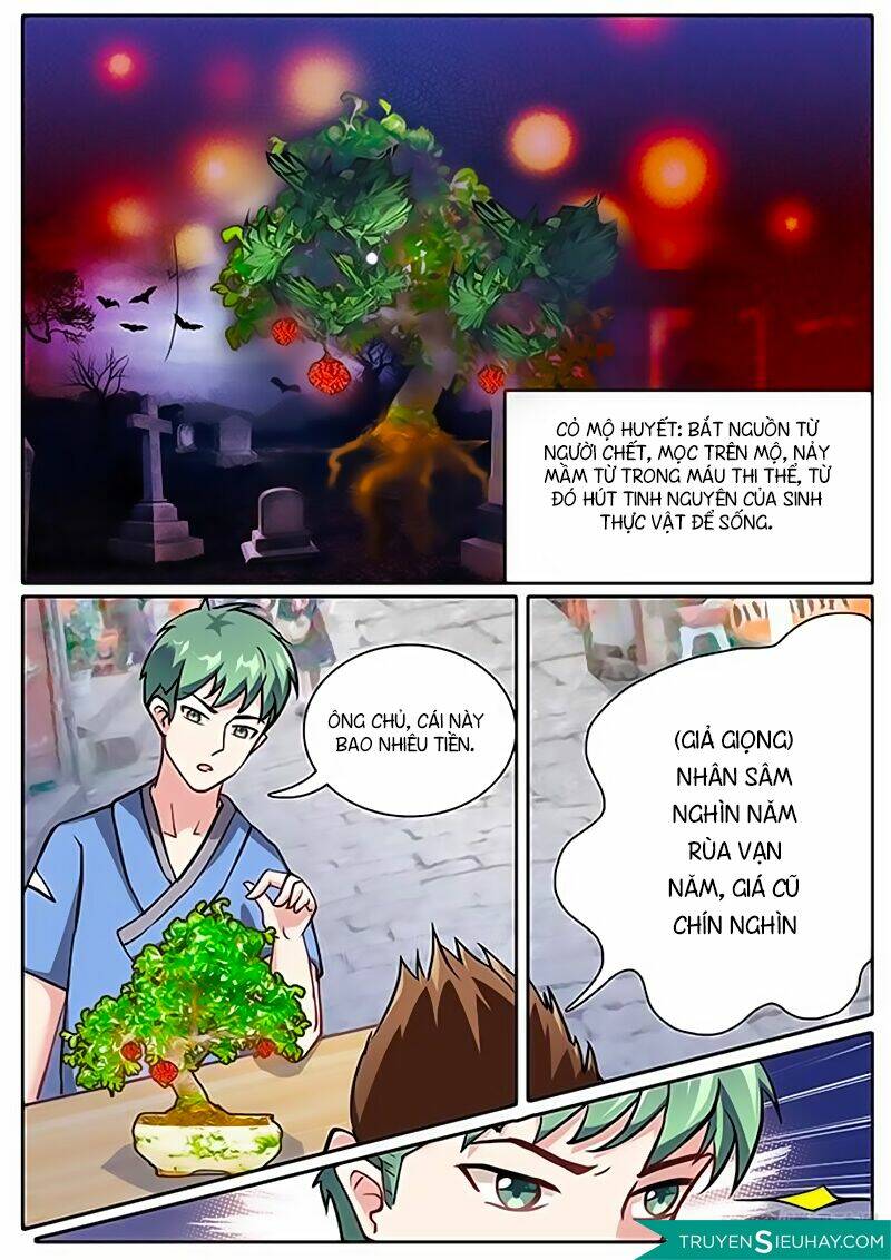 Cực Phẩm Tu Chân Thiếu Niên: Chapter 8