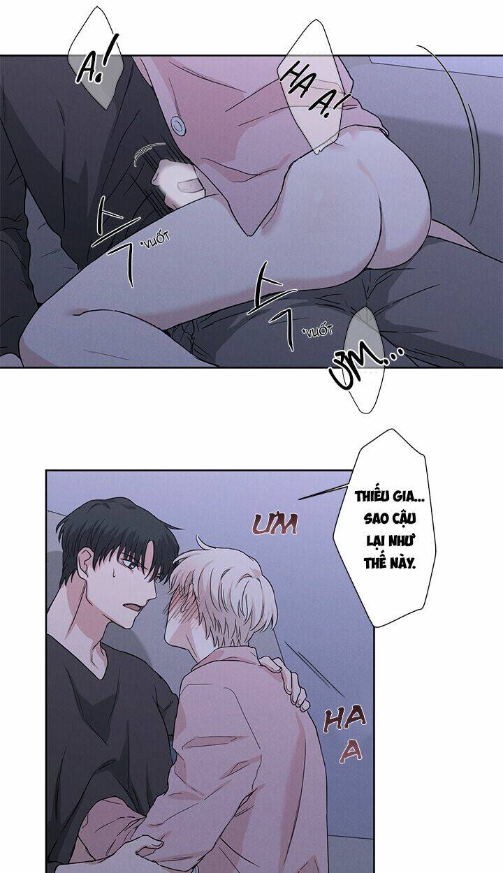 Trốn Tìm: Chapter 8