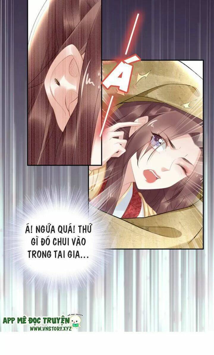 Nhất Sinh Nhất Thế Tiếu Thương Khung: Chapter 72