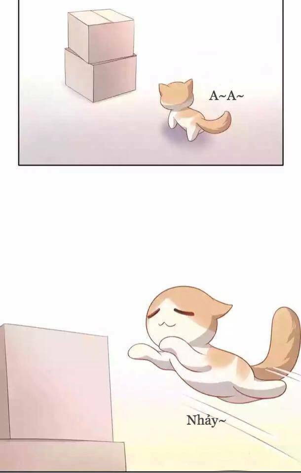 Dưới Móng Vuốt Mèo: Chapter 12