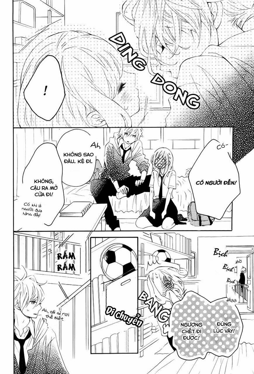 Koisuru Harinezumi: Chapter 14