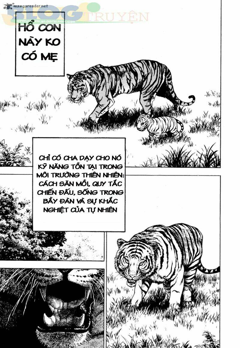 Tough - Miyazawa Kiichi: Chapter 217