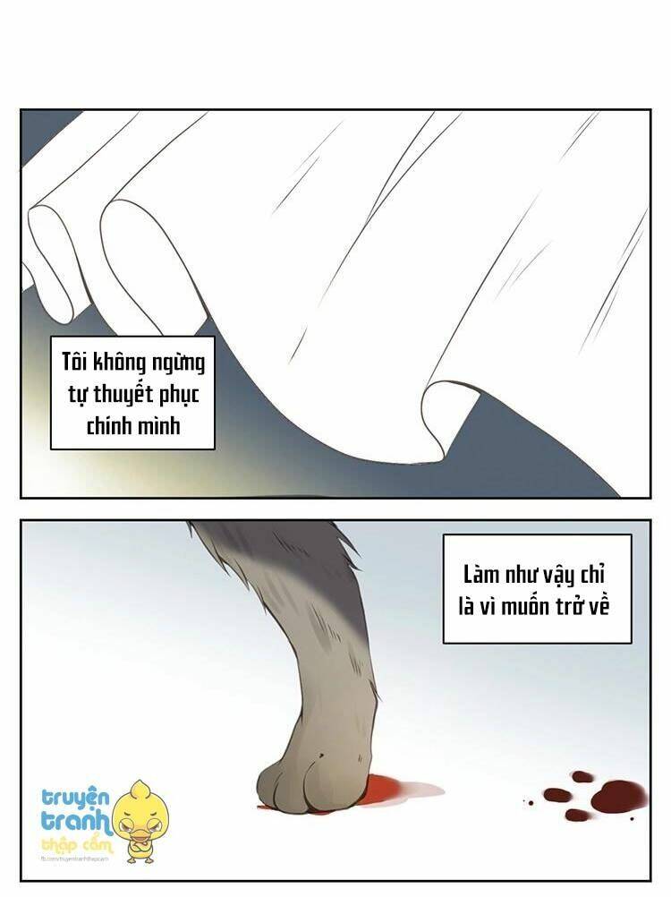 Cứu Mạng! Loài Mèo Thống Trị Thế Giới Rồi!: Chapter 26