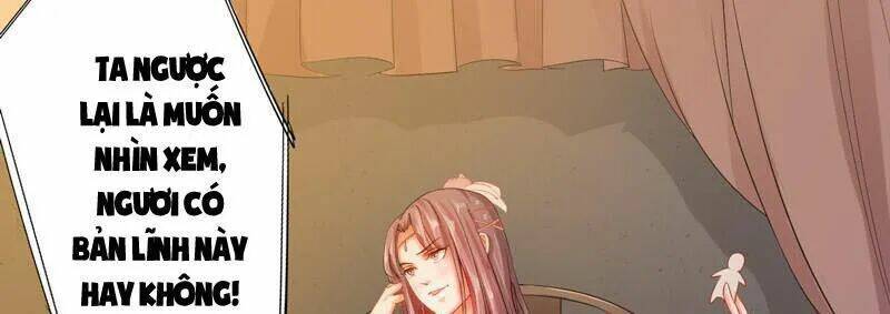 Tuyệt Thế Luyện Đan Sư: Chapter 8