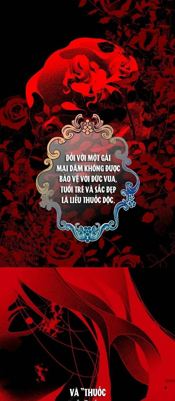 Tình Điên Dại: Chapter 62