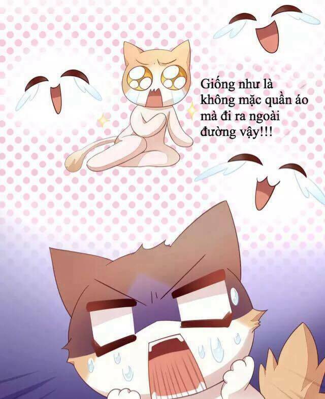 Dưới Móng Vuốt Mèo: Chapter 16