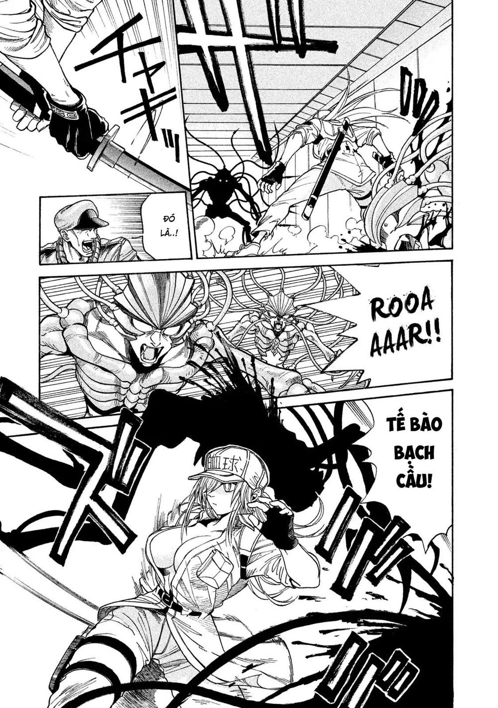 Biệt Đội Tế Bào Black: Chapter 1