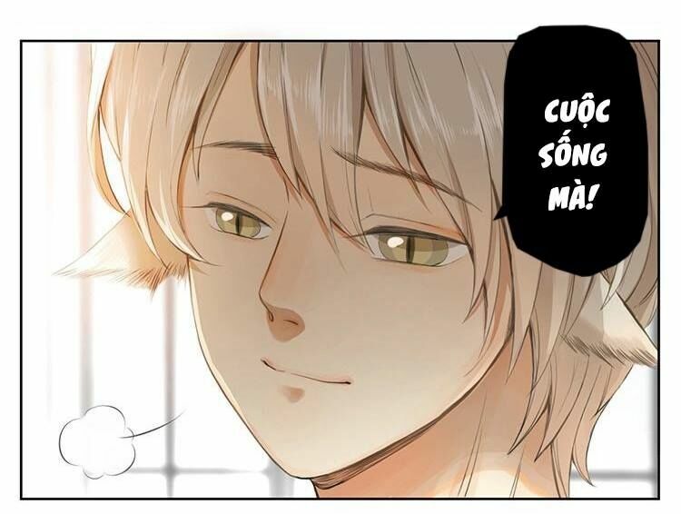 Cứu mạng ! Loài mèo thống trị thế giới rồi !: Chapter 27