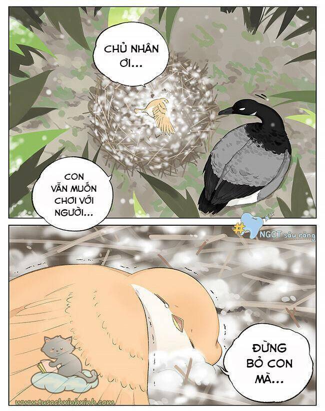 Chim Sẻ Gọi Ngỗng Trời: Chapter 5